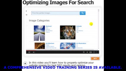 WordPress for Beginners: Quick & Easy Website Setup 🚀