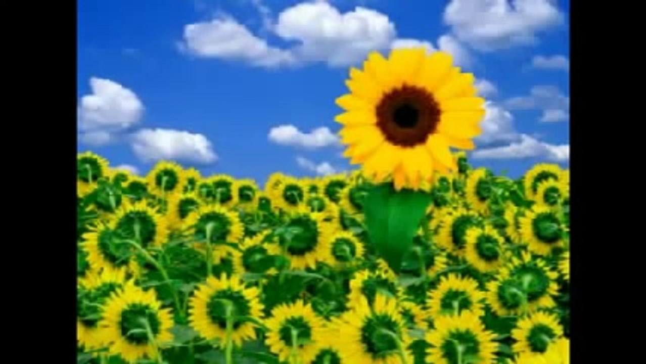 lἶlყ բɾἶεղძʂ lilykhan 148
