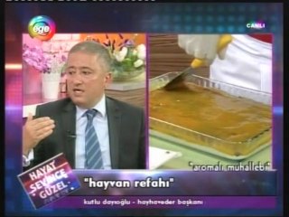 hayat sevince güzel 25-04-2014 ege tv