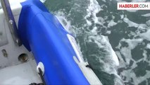 Okyanus Ortasında Köpekbalığı Saldırısı