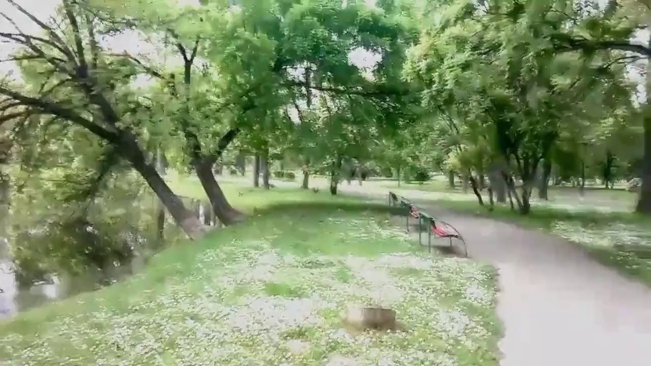 One Day In The Park - Dusko Kulis - Mix Best 1