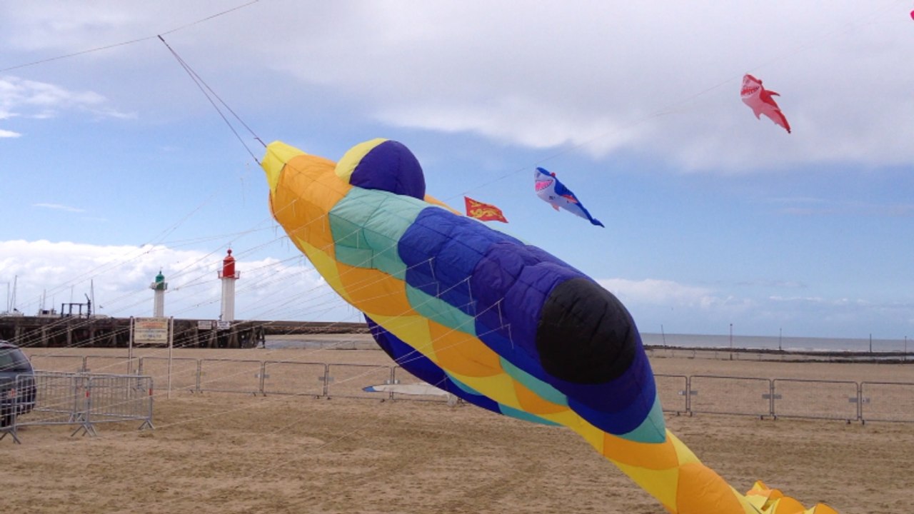 Des cerfs-volants au-dessus de la plage