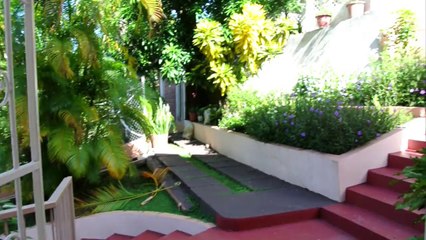 PoinsettiaApartments Showcses St. Lucia Jazz Special