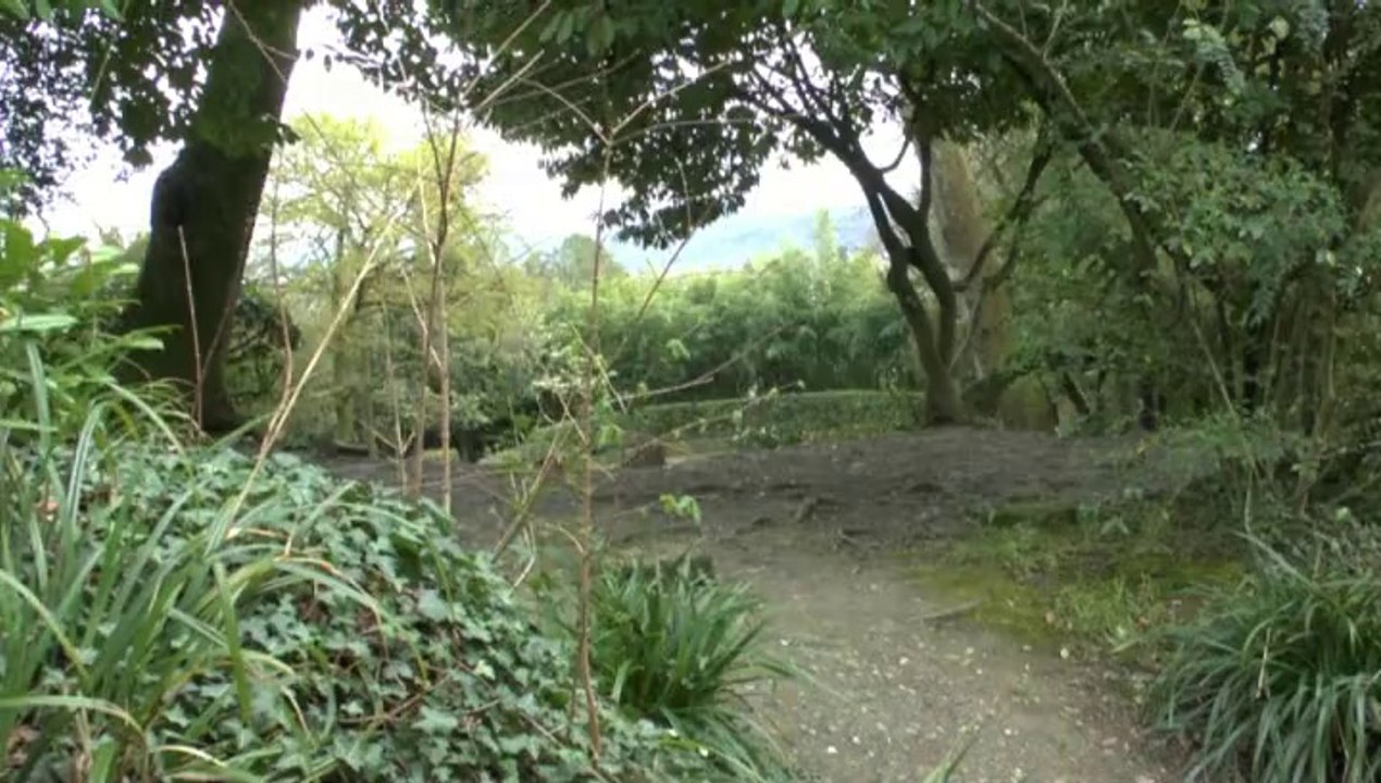 LES PROMENADES DE MICHOU W-D.D. - 28 MARS 2014 - PROMENADE PRINTANIERE...