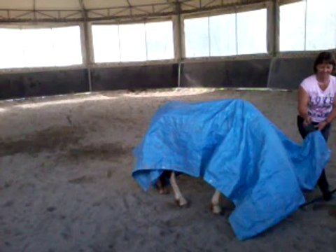 Oxxo : mon ange ! travail samedi 26.04.14 prépa spectacle