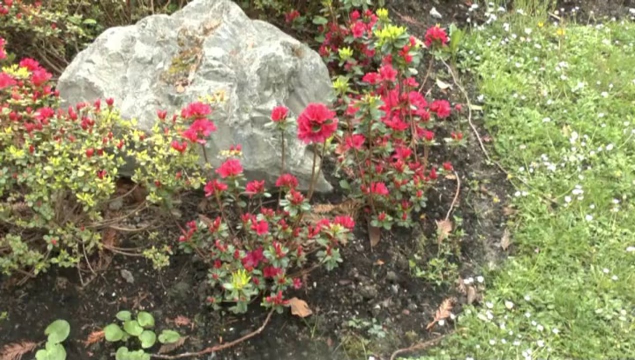 LES PROMENADES DE MICHOU W-D.D. - 30 MARS 2014 - EN PASSANT PAR LE SQUARE BESSON ET LE JARDIN DE LA SERENITE..