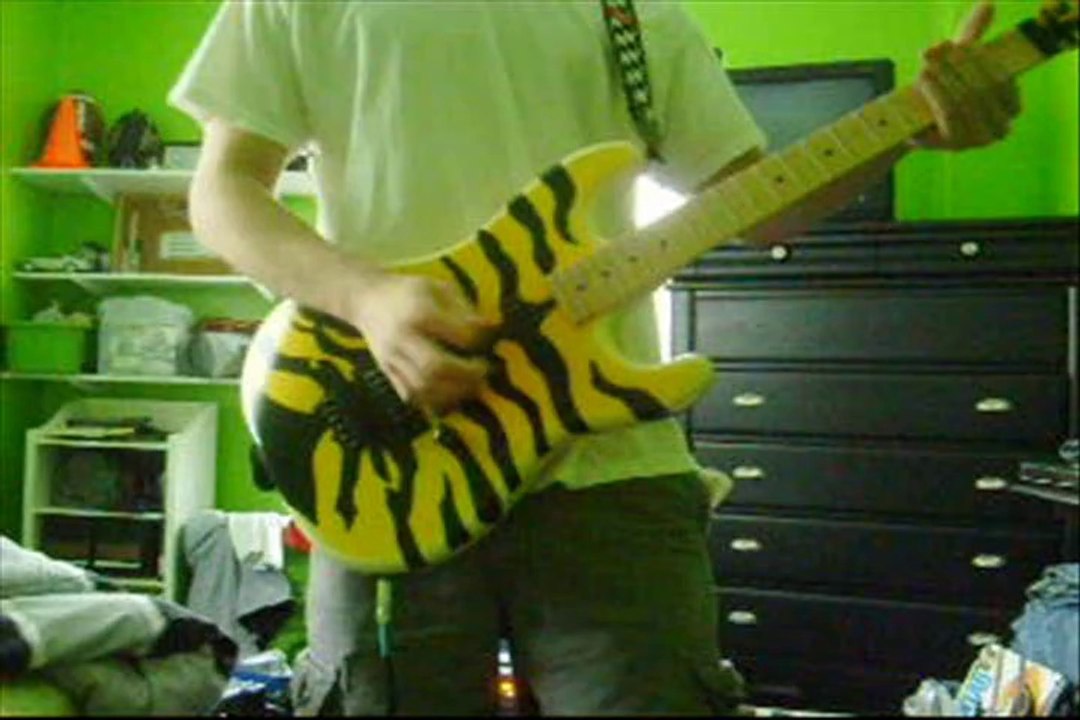 Rage Against the Machine - Killing in The Name ( Guitar Cover )