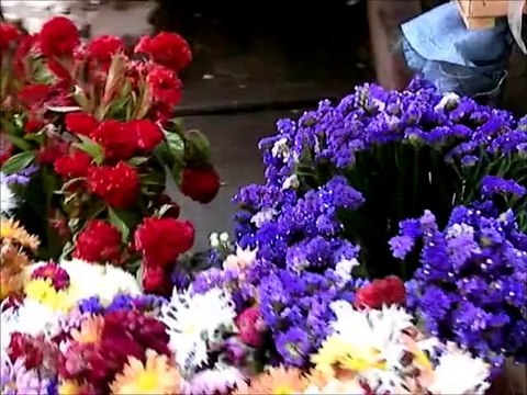 Argentine nord ouest (Salta - san Antonio de las cobres - iruya - humahuaca )