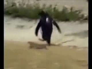 Hardcore Pinguin