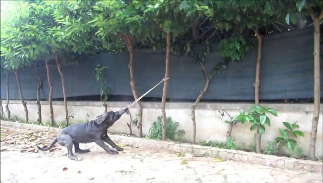 nun ce scassate o c..