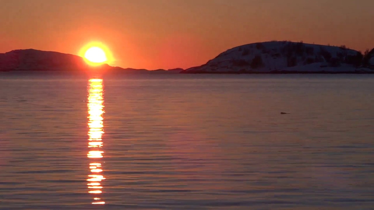 Norge, Kvaløya, Sommarøy, dauphins au coucher de soleil