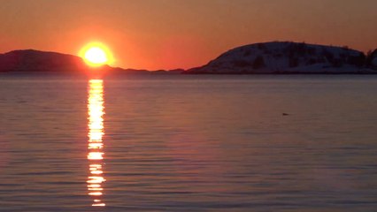 Norge, Kvaløya, Sommarøy, dauphins au coucher de soleil