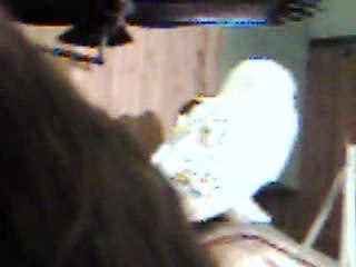 Harry Potter - Hewgide au Salon du ciné