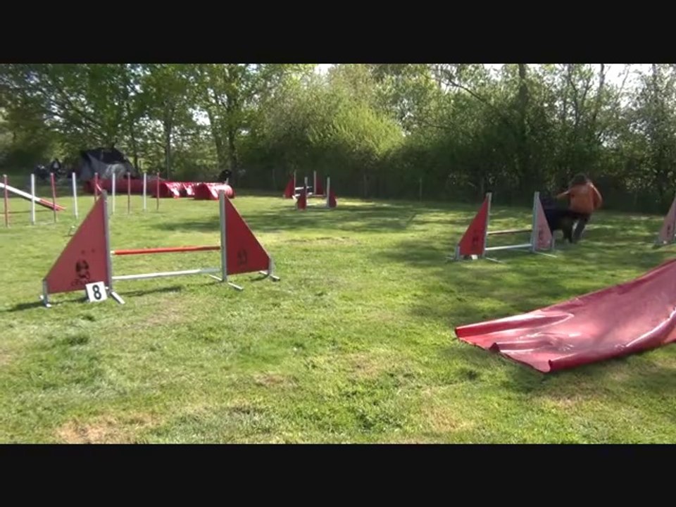 CHAMPIONNAT AGILITY 2014