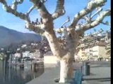 ascona suisse calme romantic sexy belle
