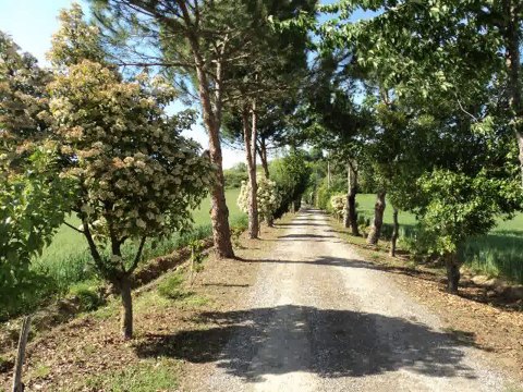 offerte agriturismo chianti in paradiso Tel.338/3237591