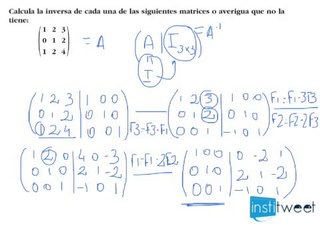 Matriz Inversa. Ejercicio resuelto paso a paso.