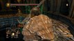 Dark Souls 2 Gameplay Walkthrough #61 | Undead Crypts - Short But Sweet | NG+ Lvl230+
