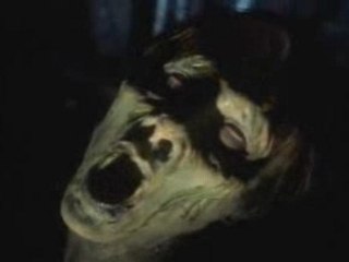 Segata Sanshiro fights zombies