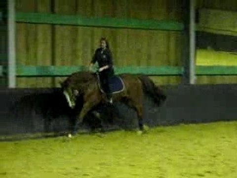 reprise willy galop et volte béné(6)