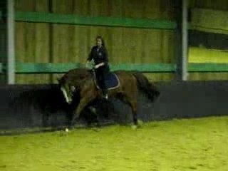 reprise willy  galop et volte béné(6)