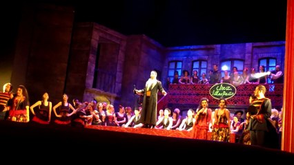 Carmen Ankara State Opera April 2014