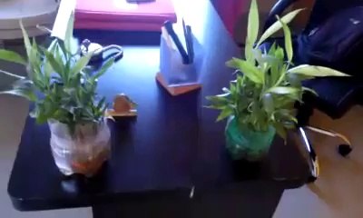 Movers and packers in hadapsar pune