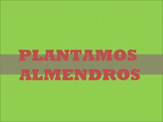 PLANTAMOS ALMENDROS