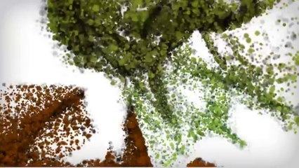 لقاء مع د.محمد عبدالله القاضي " أمين عام منظمة رعاية الطلاب الوافدين بالسودان "