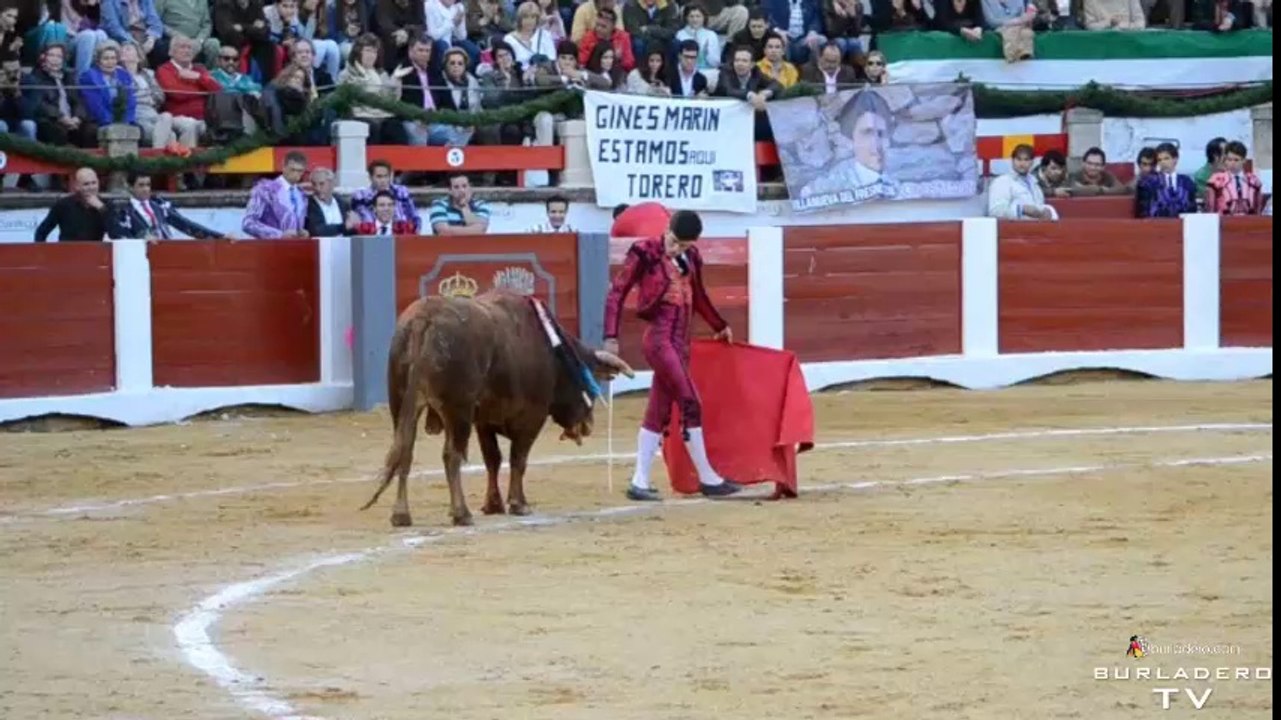 Cáceres_Goyesca