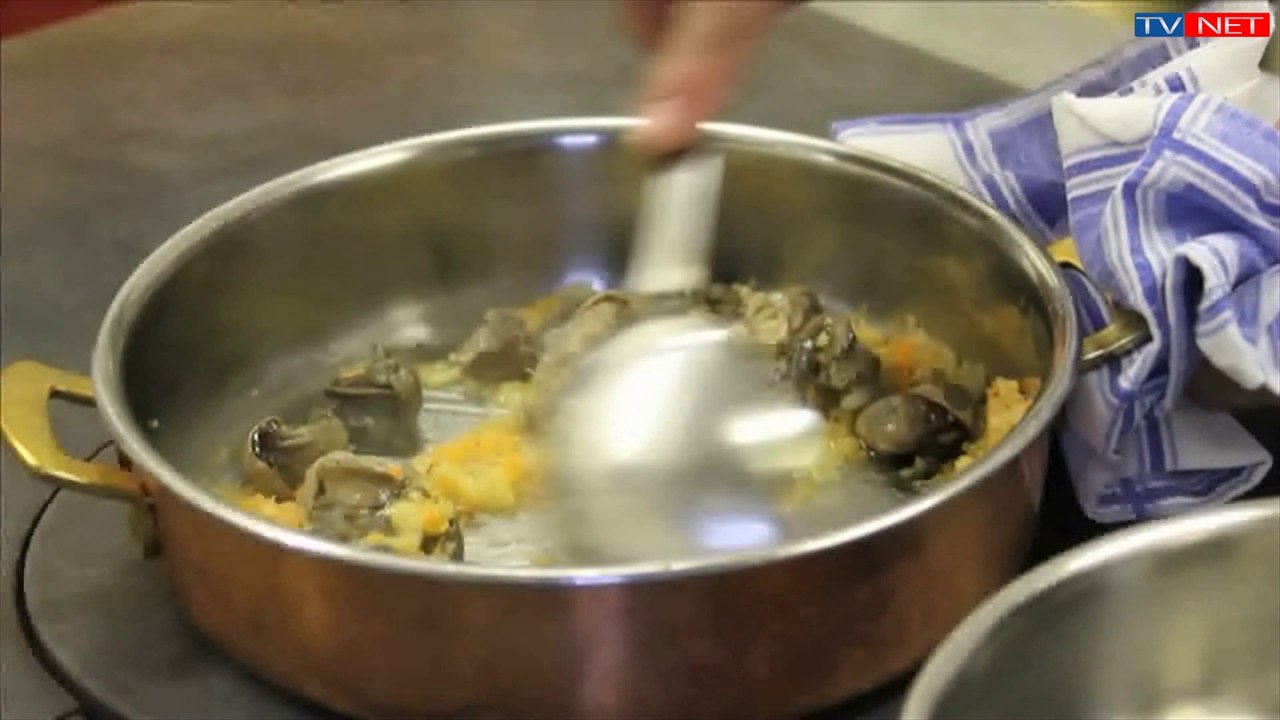 Histoire d’Escargots