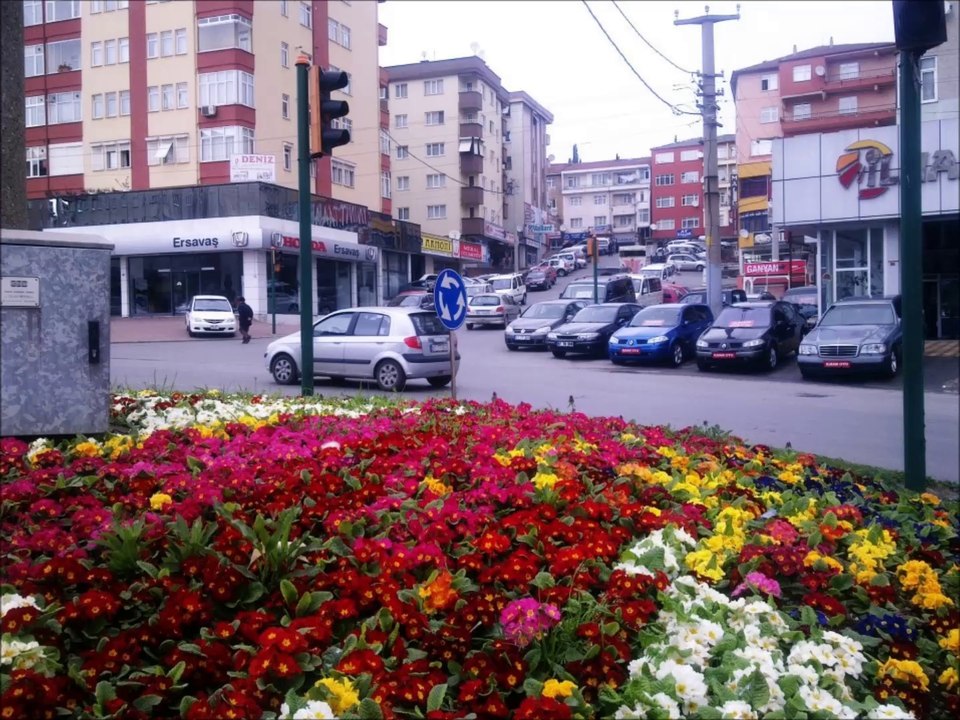 KAPTAŞ OYUN HAVASI alakeseli tanju