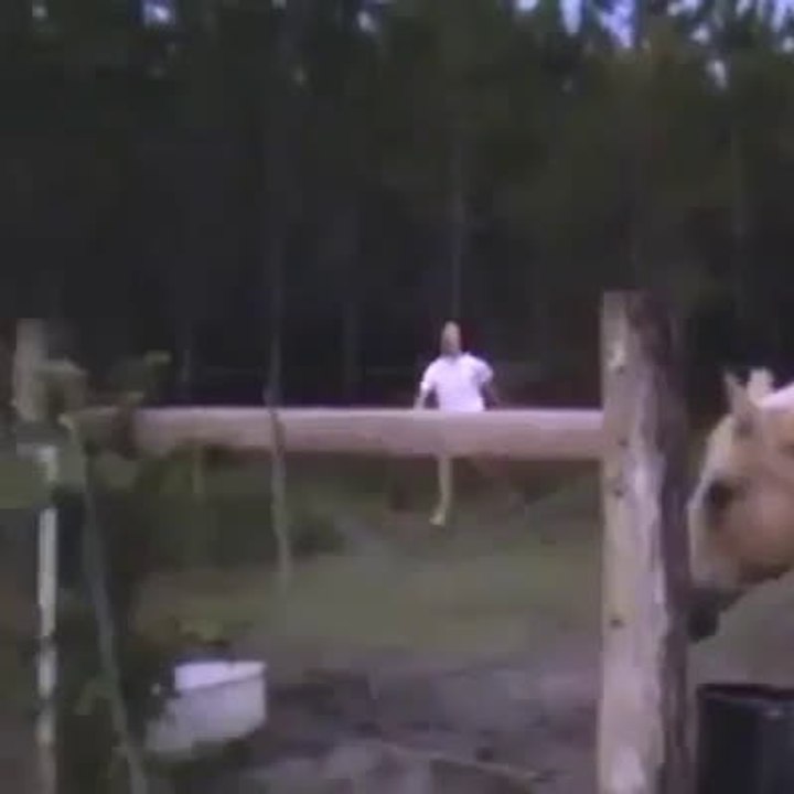 Pauvre mec, je suis plié ! mdddr
