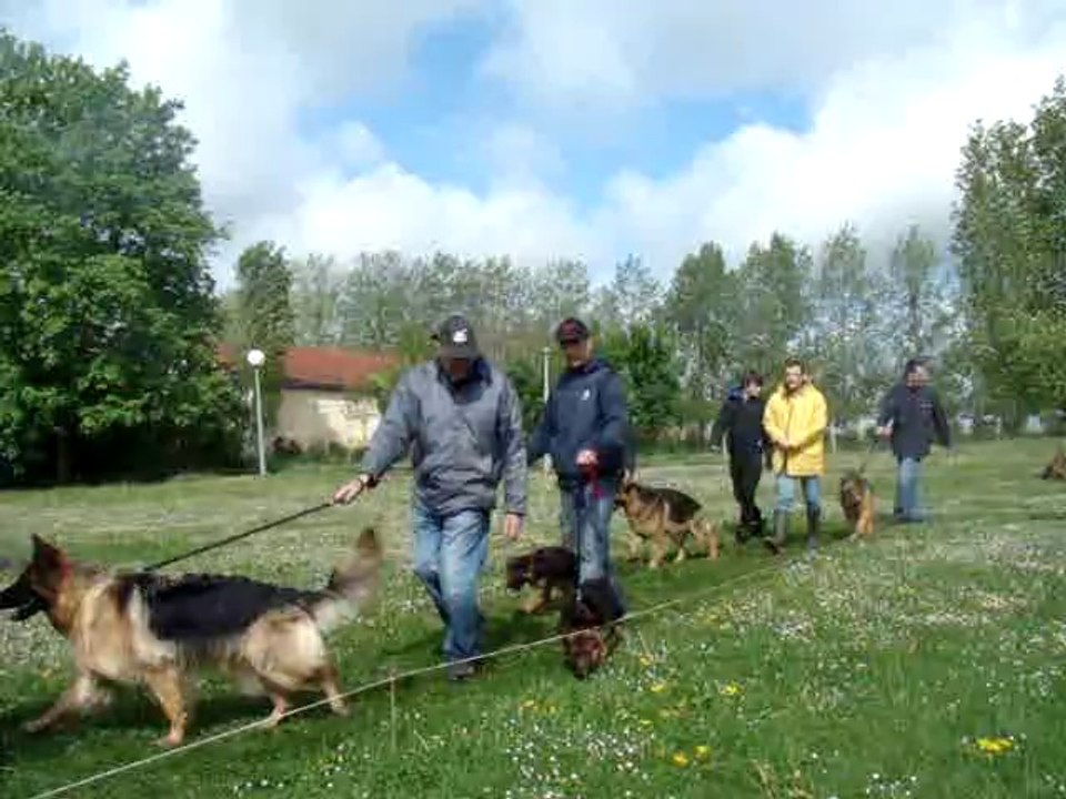 2014- 27 avril- réunion chiots SCBA 78 (élevage chemin d'eden)