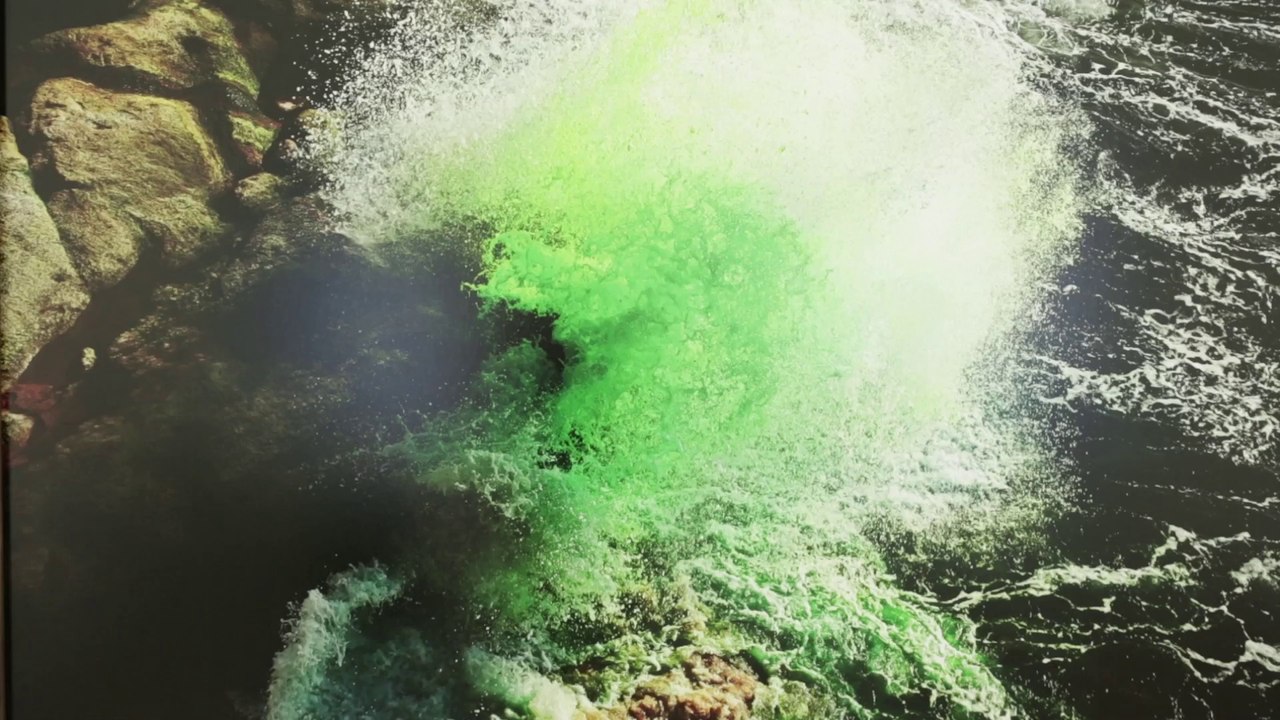 La présentation des photographes sélectionnés au Festival d'Hyères 2014