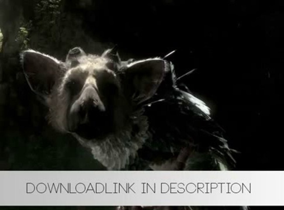 Play The Last Guardian on PC (PS3 Emulator)