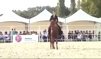 Horse Dance on Music - Must Watch