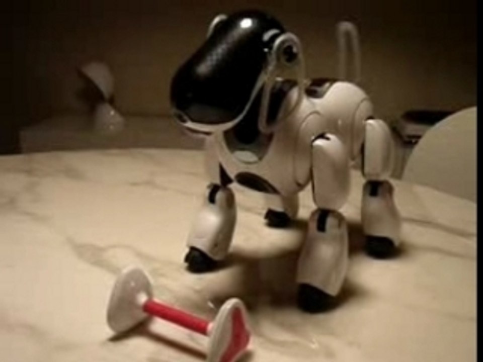 ROBOT AIBO ERS7 MIND3 (Buzz)