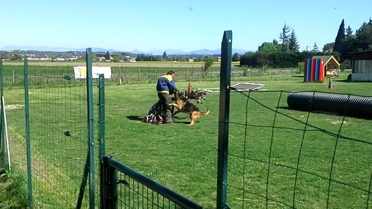 mondioring chien 3 montelimar