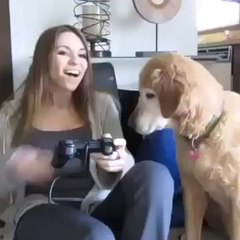 That friend who isn't happy until they get a high five Funny Vines