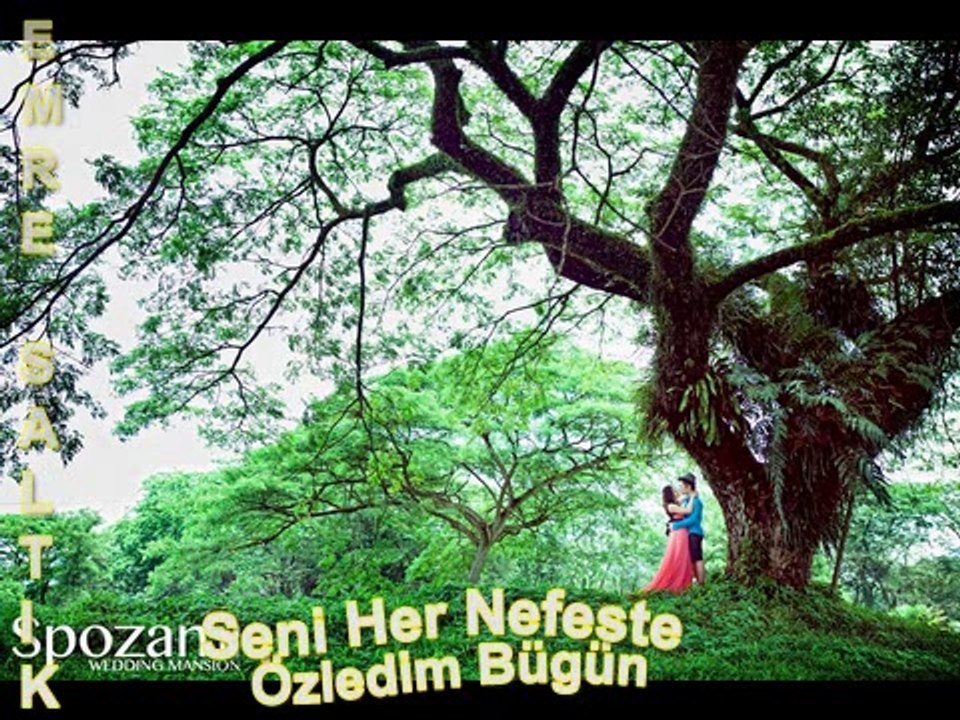 Seni Her Nefeste Özledim Bügün-Emre Saltık