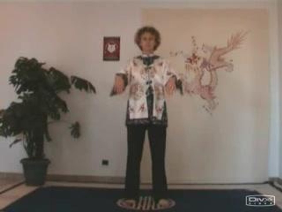 tai-chi style Wu
