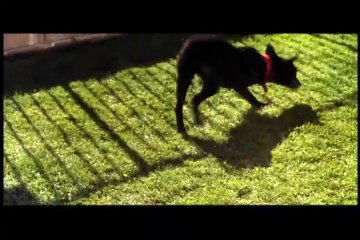 Very Bad Things - Movie Trailer