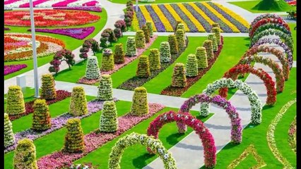 Dubai miracle garden... ...