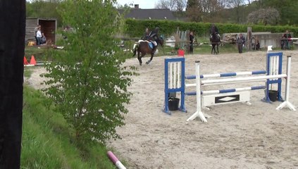 Shanon, 110 cm, Barrage, Bois-de-Villers, le 27 avril 2014