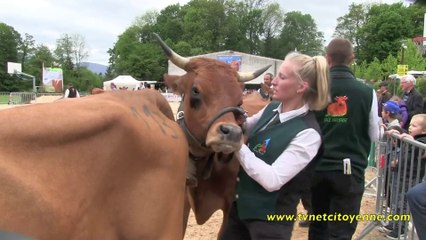 La Tarine est fêtée au Lycée Reinach