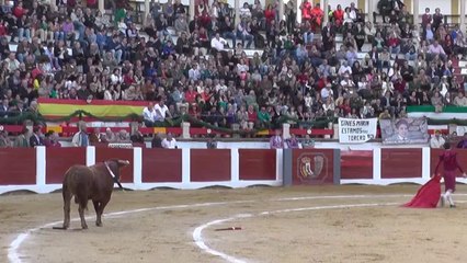 Resumen de la Novillada Goyesca de Cáceres