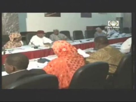 Télé Sahel JT 25-04-2014 Nigeriens de Belgique