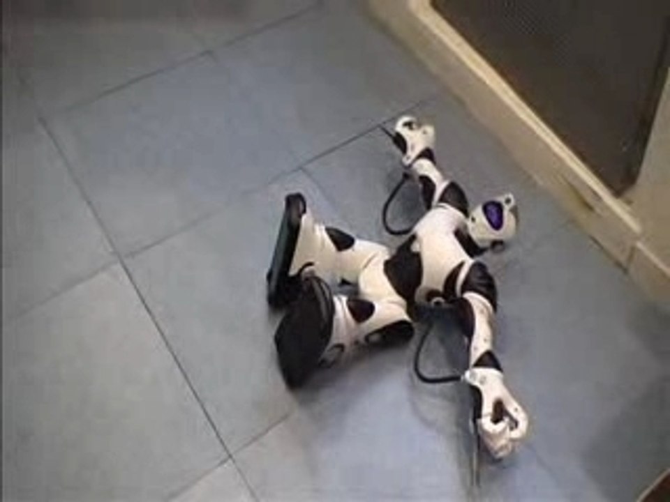 Robosapien V2