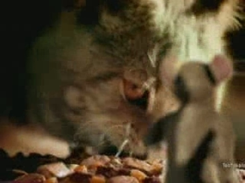 Topo Dance: spot Whiskas